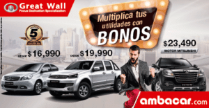 Multiplica tus utilidades en Ambacar