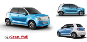 great-wall-carro-electrico