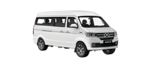 Van Ambacar Shineray X30LS