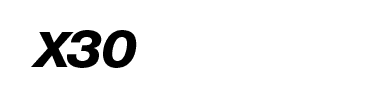 ambacar-shineray-logo-x30