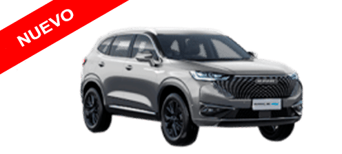 HAVAL H6 LUXURY