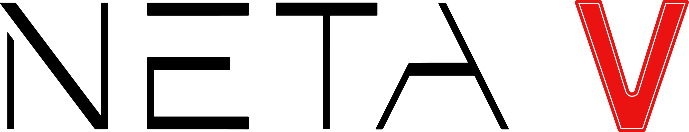 neta-v-logo-n